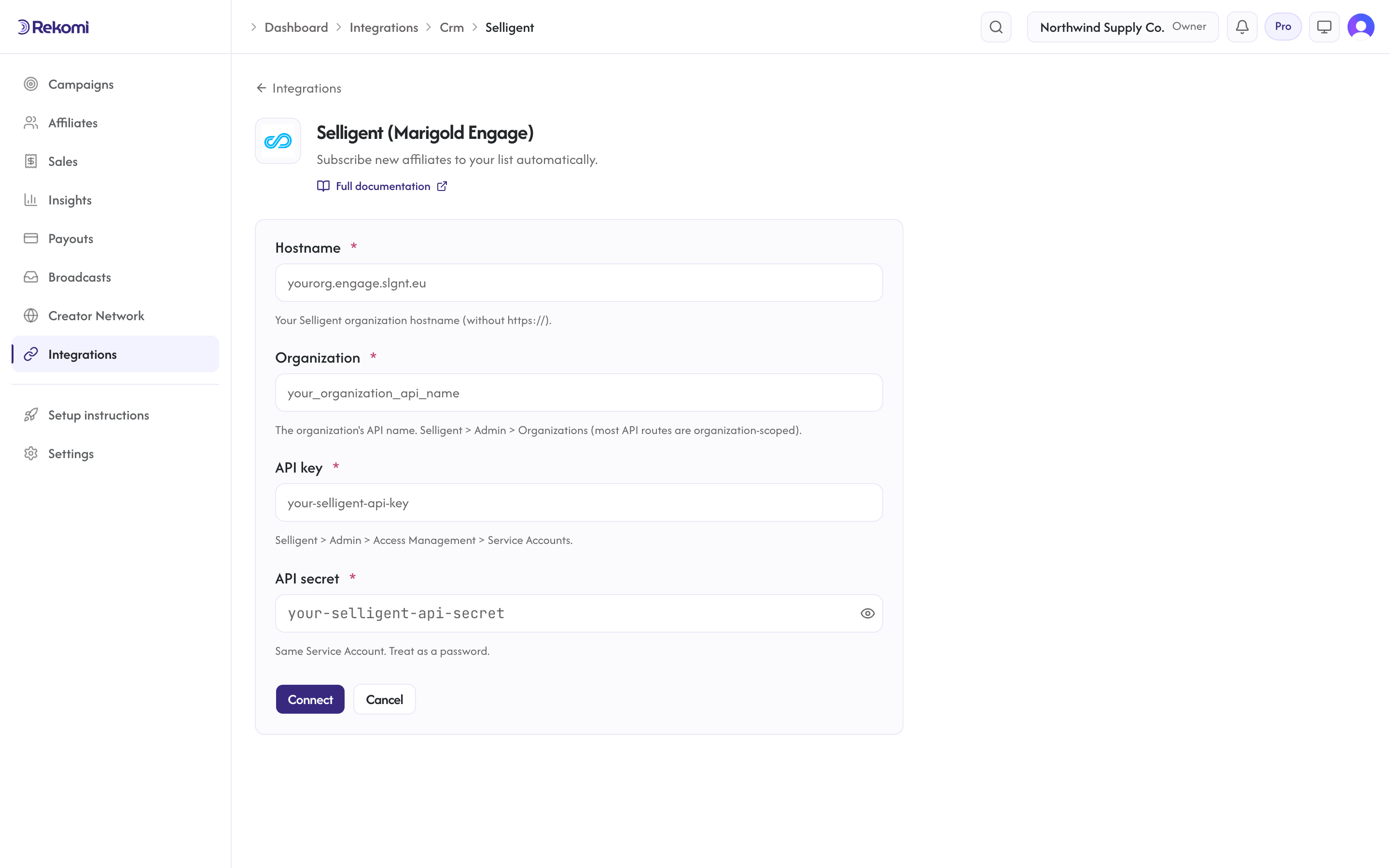 The Selligent connect form in Rekomi with the Hostname, Organization, API key, and API secret inputs and Connect button