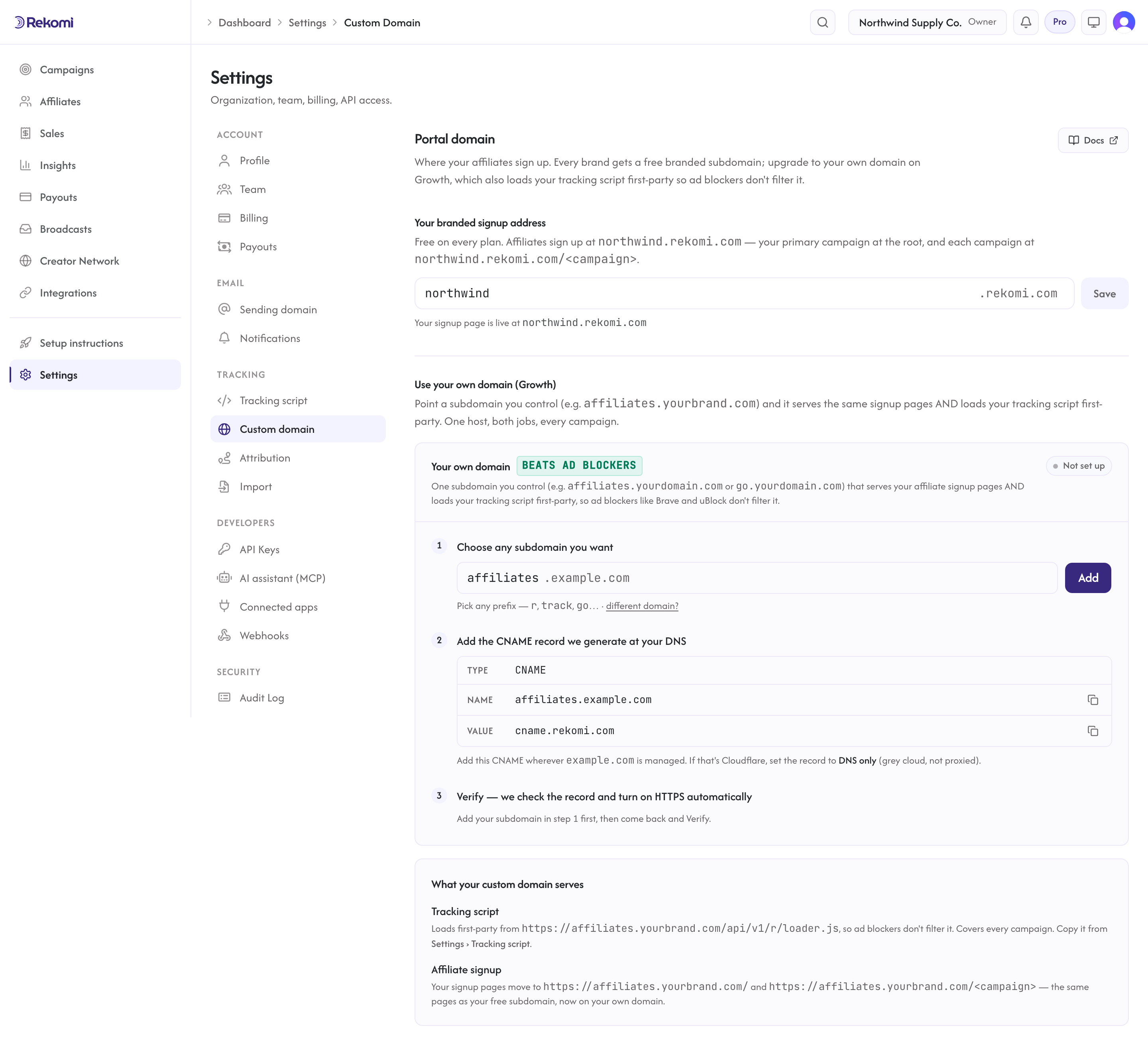 The custom domain settings page with the DNS instructions
